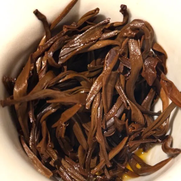 Golden Bud black tea wet